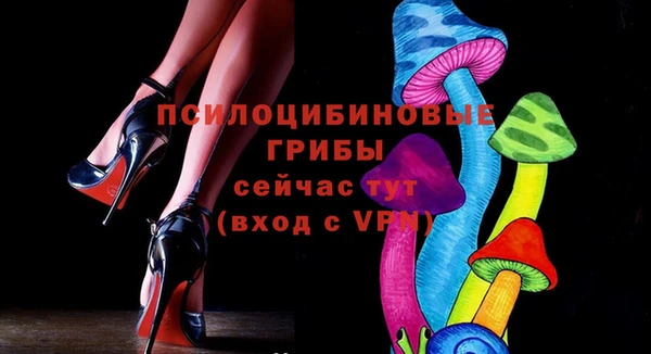 прущие грибы Инсар