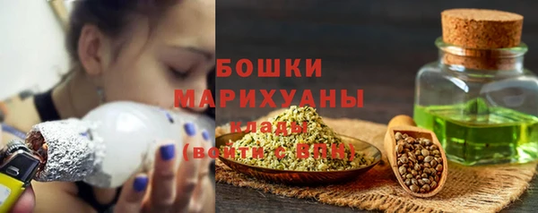 прущие грибы Инсар