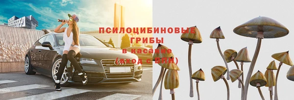 прущие грибы Инсар