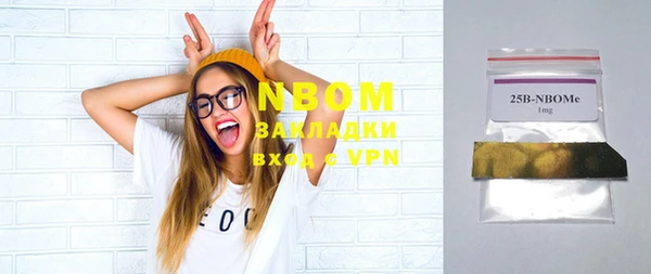 прущие грибы Инсар