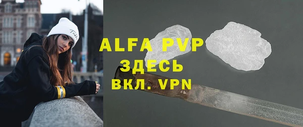 прущие грибы Инсар