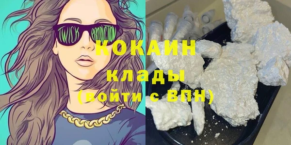 прущие грибы Инсар
