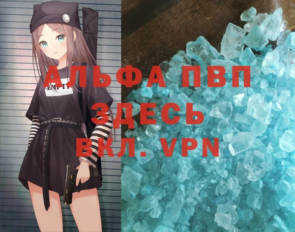 прущие грибы Инсар