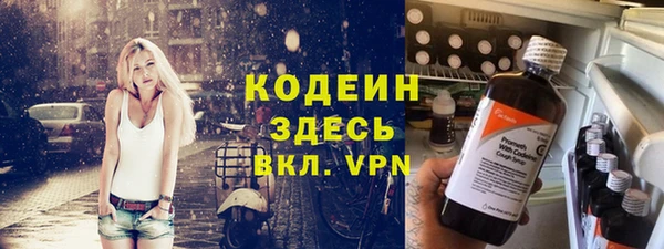 прущие грибы Инсар