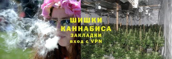 прущие грибы Инсар