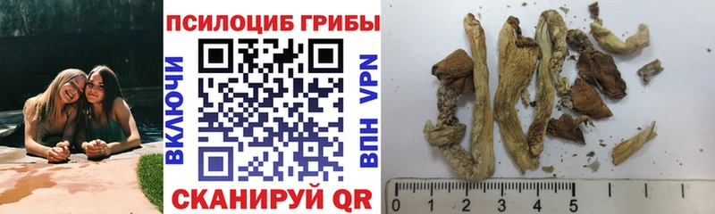 Купить где  Ивангород  Псилоцибиновые грибы ЛСД 