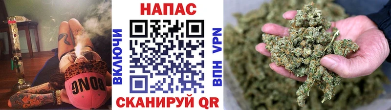 Купить закладки Ивангород Бошки марихуана SATIVA & INDICA